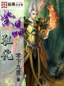 炖黄芪党参杜仲鸽子汤，出锅前十分钟放枸杞好还是枸杞单独泡水喝最好？